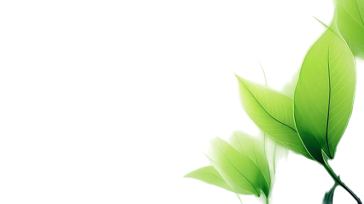 Woman with natural makeup and floral hair